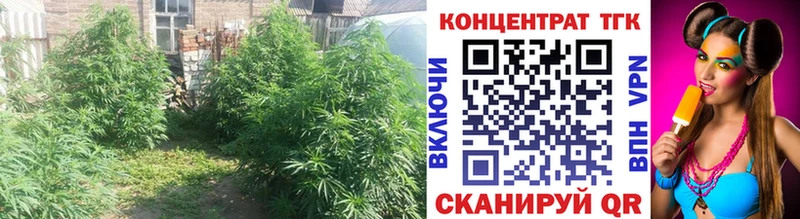 ТГК концентрат  Купить закладки  Егорьевск 