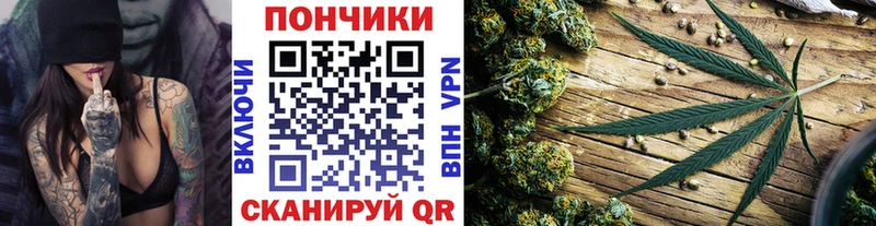 Купить закладки  Егорьевск  Конопля Amnesia 